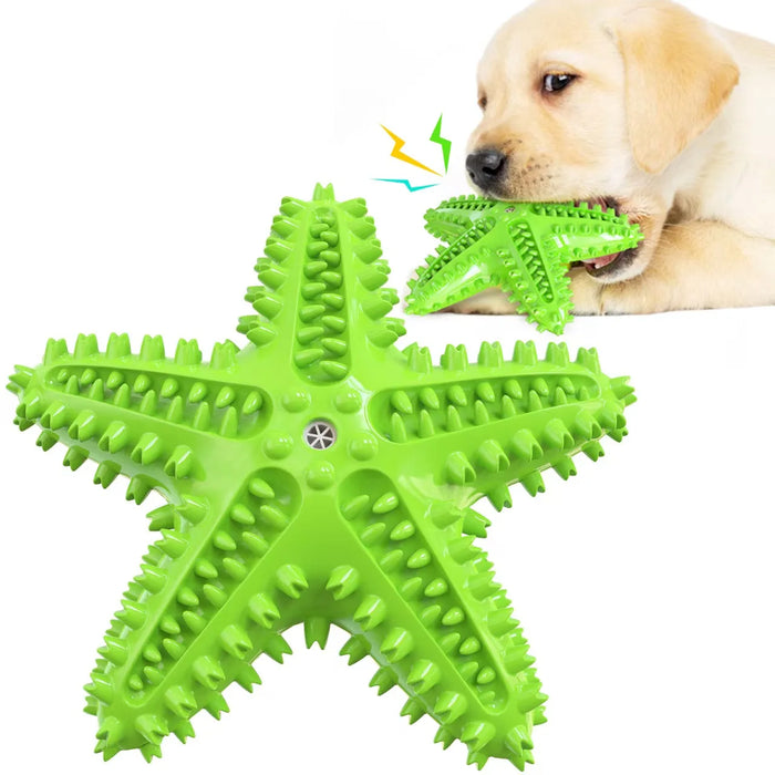 Floating Starfish Dog Chew Toy For Small To Medium Dogs