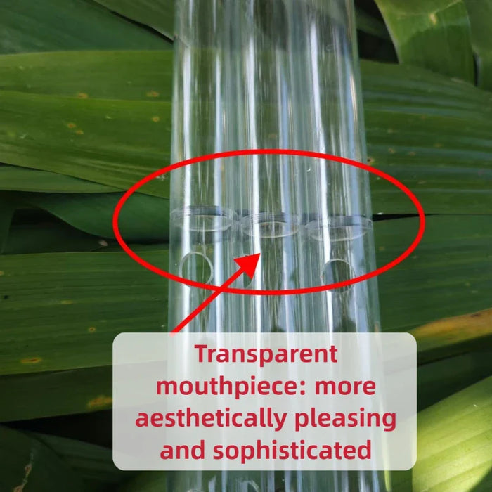 Beginner Acrylic Flute In E / F / G Key