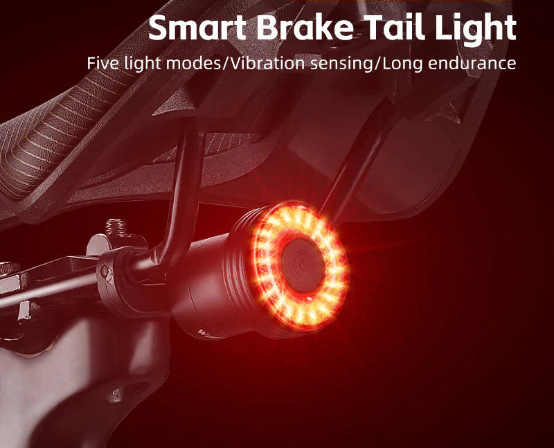 Smart Sensing Bike Tail Light Waterproof & Usb Charging