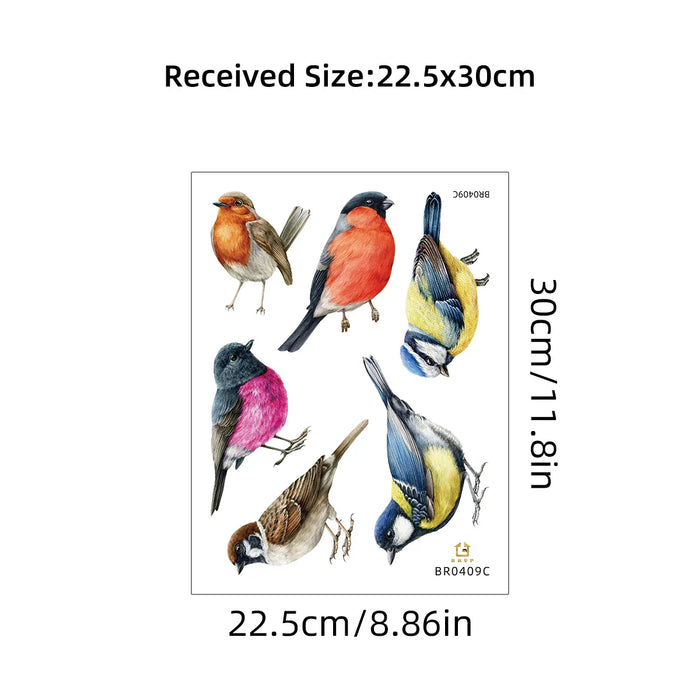 Colourful Bird Wall Decals For Kids Room Decor