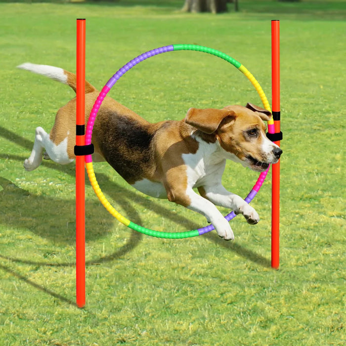 Portable Dog Agility Set For Outdoor Training