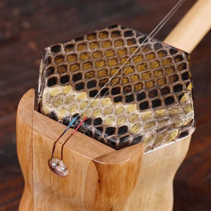 2 String Wooden Erhu Set For Beginner Adults