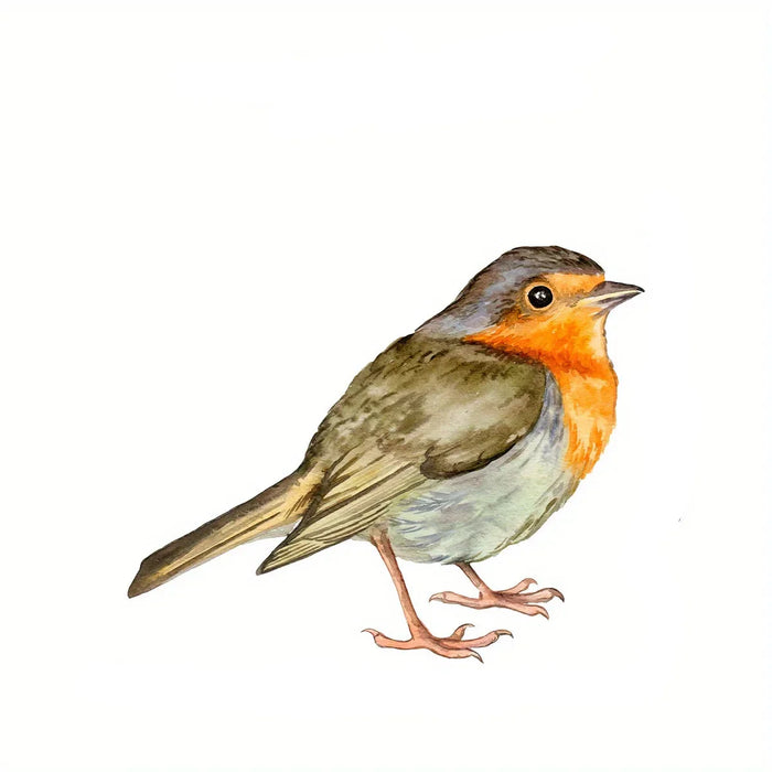 Charming Watercolour Bird Window Stickers For Home Decor