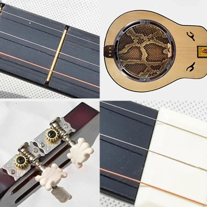 Chinese Traditional Wood Sanxian For Beginners