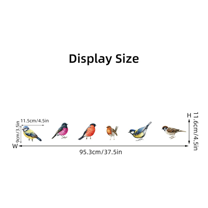 Colourful Bird Wall Decals For Kids Room Decor
