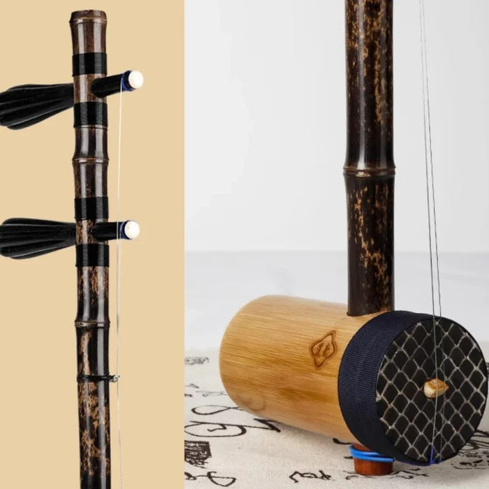 Professional 2 String Jinghu For Adult Beginners