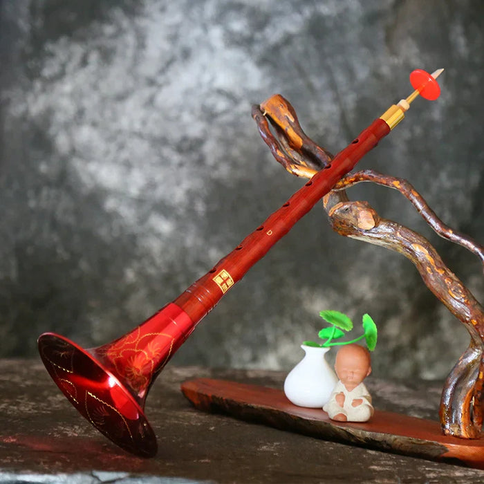 Beginner Suona Set Traditional D Key Professional Wooden Horn