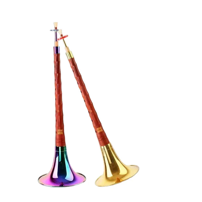 Beginner Suona Set Traditional D Key Professional Wooden Horn