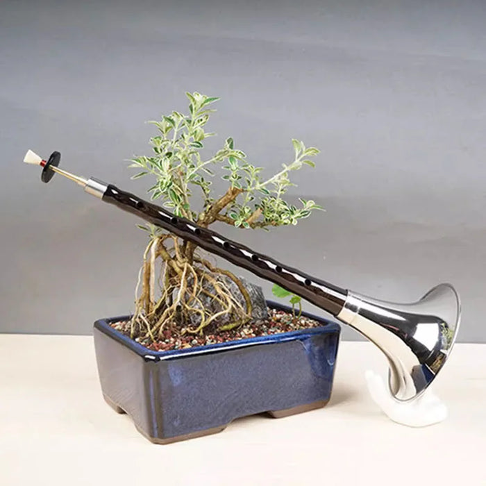 Traditional Chinese Ebony Suona Set For Beginners And Adults