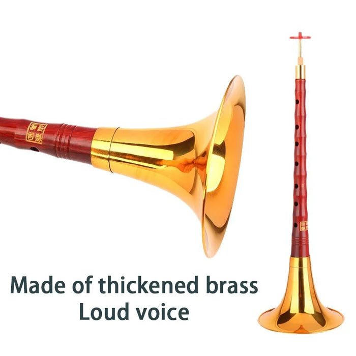 Beginner Suona Set Traditional D Key Professional Wooden Horn