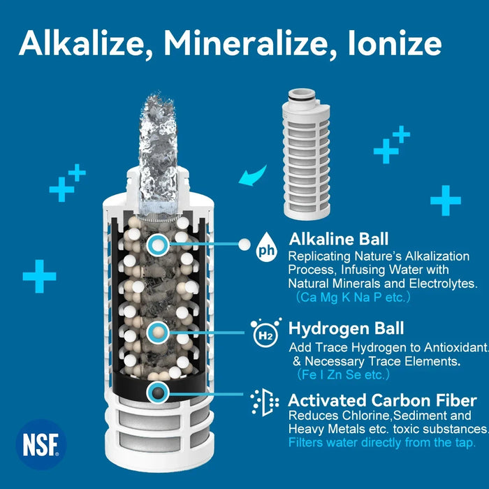 Alkaline Water Filter Bottle - Ph 9.5 Added Minerals & Electrolytes Bpa-Free