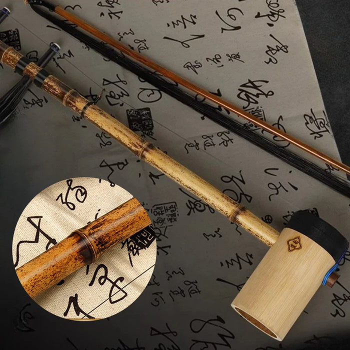 Professional 2 String Jinghu For Adult Beginners