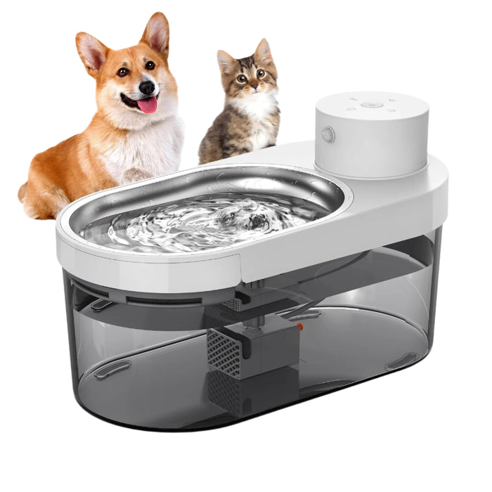 Stainless Steel Cat Water Fountain With Led And 3 Modes