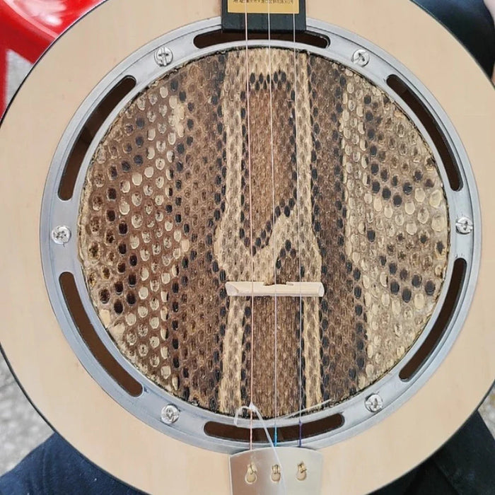 Chinese Traditional Wood Sanxian For Beginners