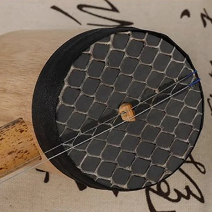 Professional 2 String Jinghu For Adult Beginners