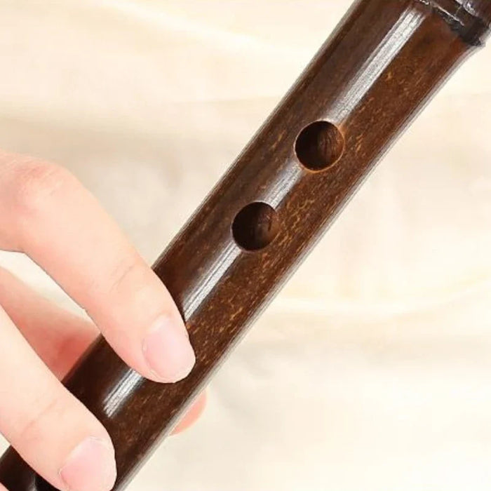 Traditional Purple Bamboo Flute For Adults