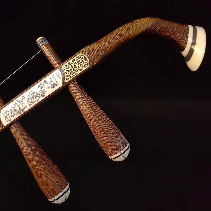 Professional 2 String Erhu Set For Adult Beginners