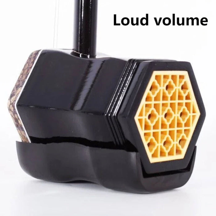 Traditional 2 String Erhu For Adult Performance