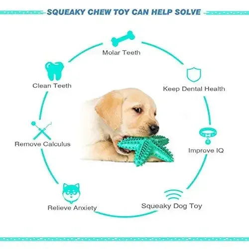 Floating Starfish Dog Chew Toy For Small To Medium Dogs