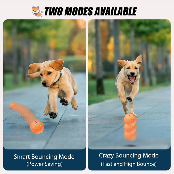 Interactive Dog Ball 2.2 Inch Motion Activated Usb Rechargeable For Small / Medium Dogs