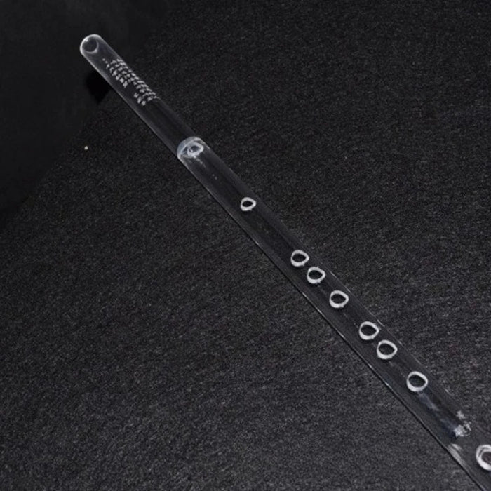 Professional Transparent Flute For Adult Beginners