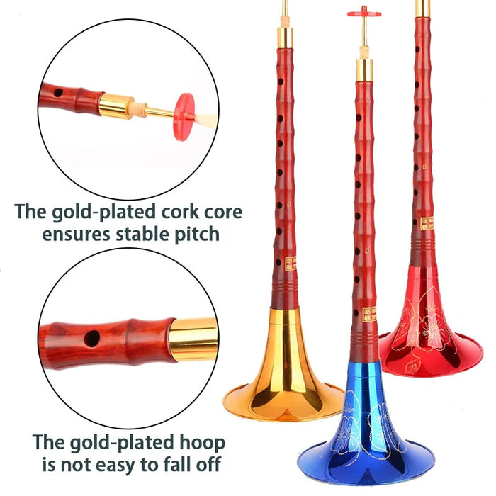 Beginner Suona Set Traditional D Key Professional Wooden Horn