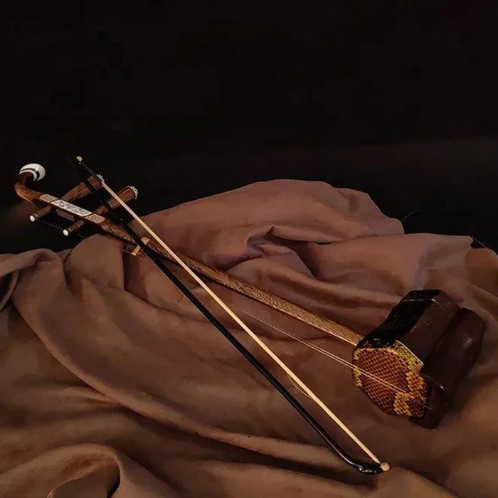 Professional 2 String Erhu Set For Adult Beginners