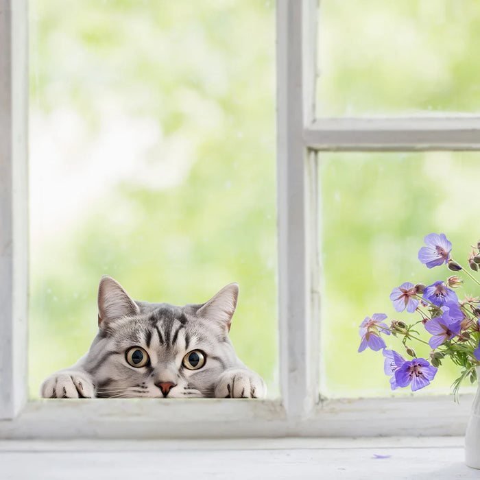 Watercolour Peeping Cat Wall Stickers For Kids Room Decor