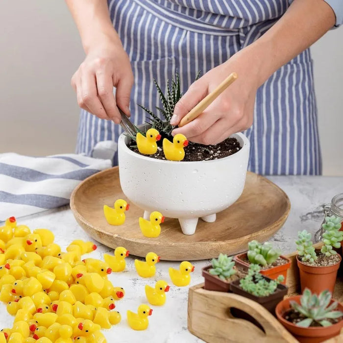100 / 200 Mini Resin Ducks For Garden Decoration