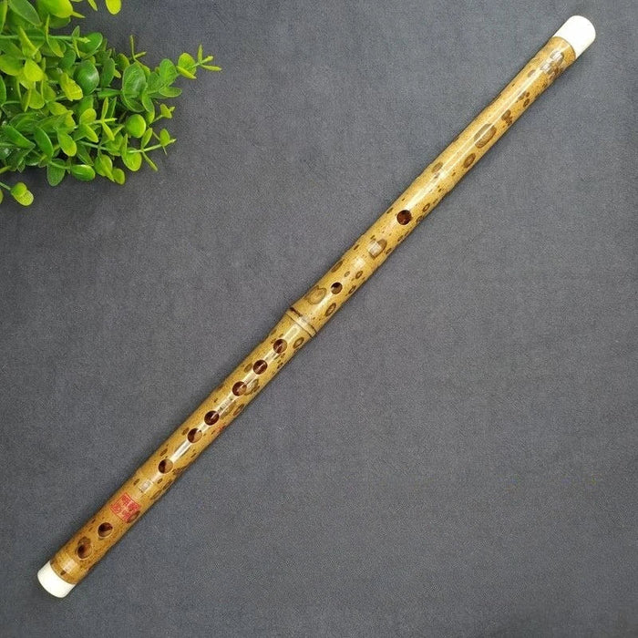 Professional Bamboo Flute For Chinese Music Adult Beginners
