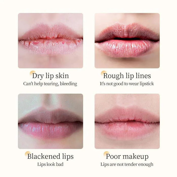 3 Piece Moisturizing Vitamin E Honey Lip Balm