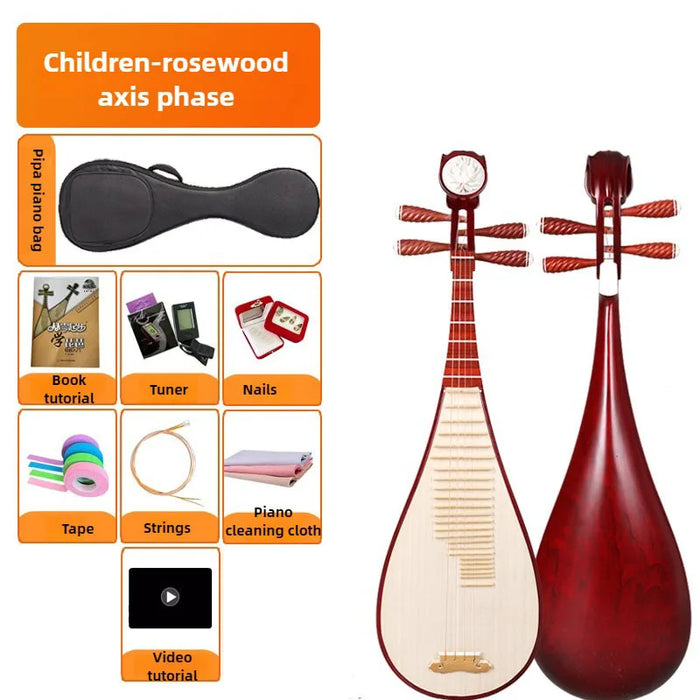 Traditional Chinese Pipa For Beginners And Professionals