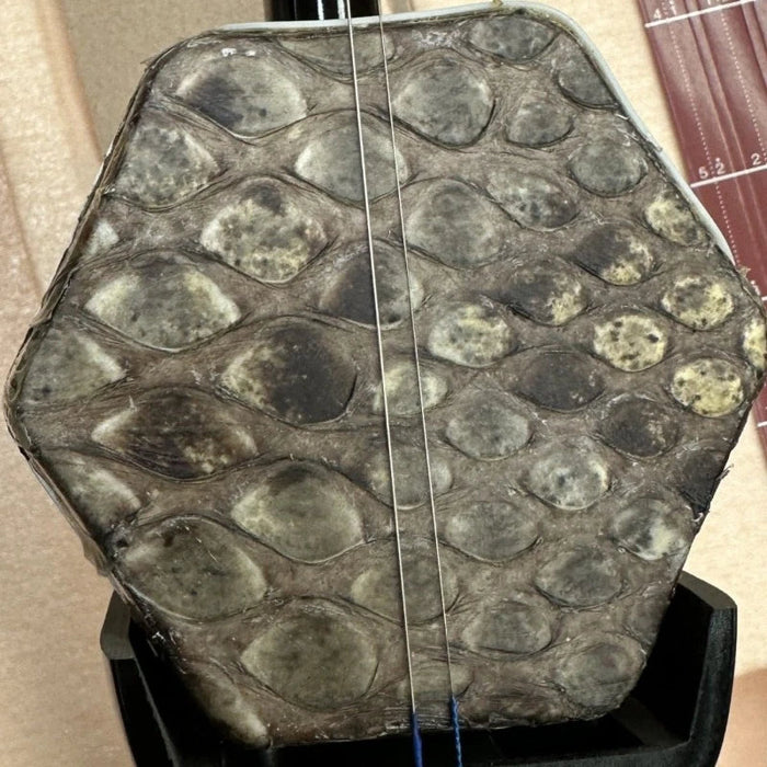 Traditional 2 String Wooden Erhu For Children