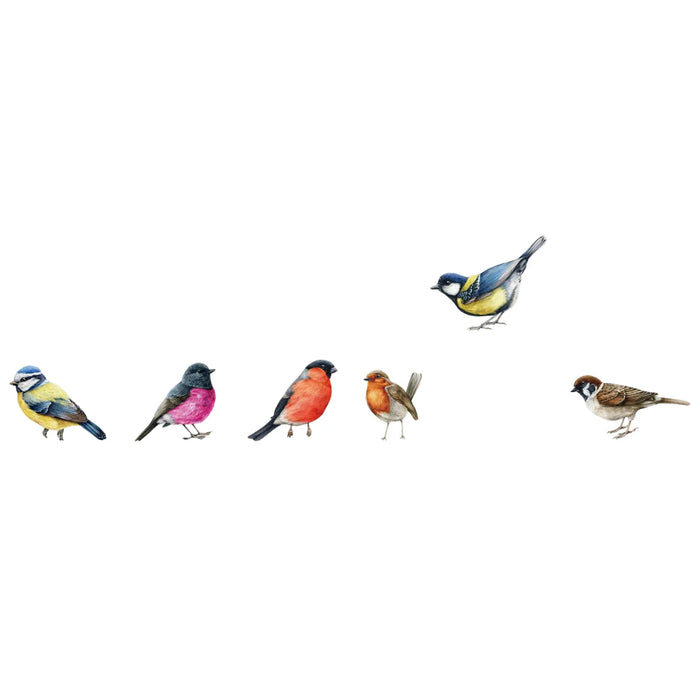 Colourful Bird Wall Decals For Kids Room Decor