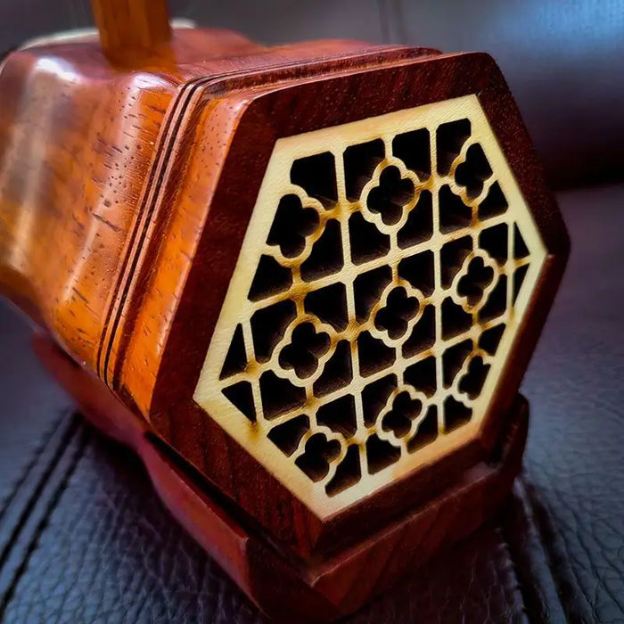 Professional 2 String Erhu For Adult Beginners