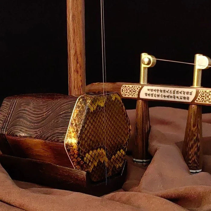 Professional 2 String Erhu Set For Adult Beginners