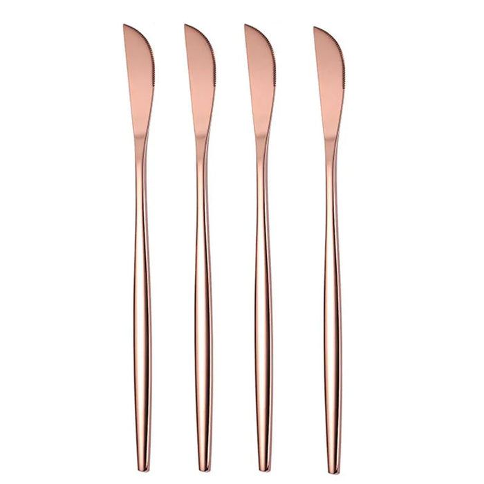 4 Piece Stainless Steel Steak Knife Set For Hotel Or Restaurant