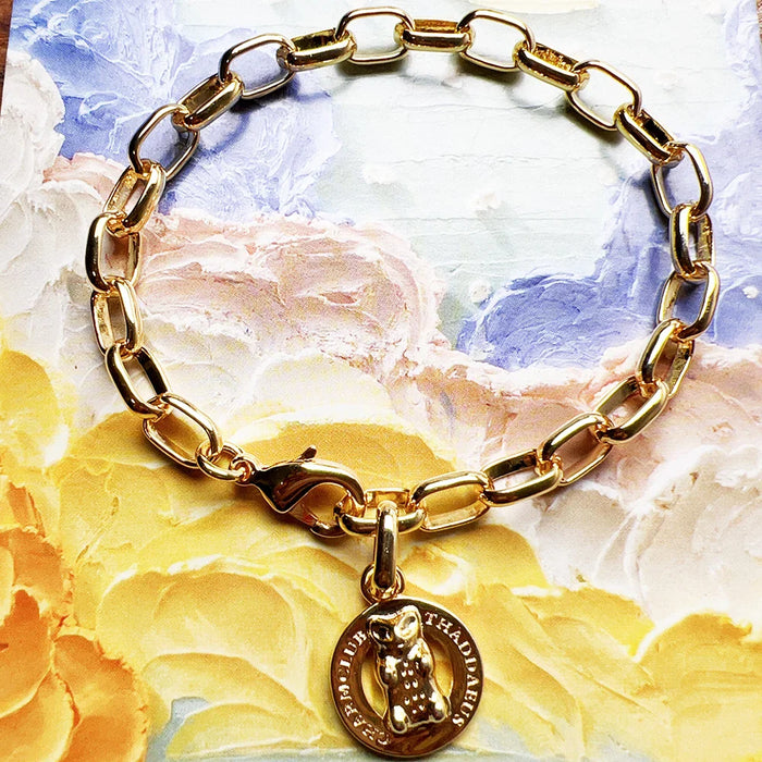 925 Sterling Silver Gold Plated Link Chain Charm Bracelet Cute For Women & Men Fine Jewelry Accessory