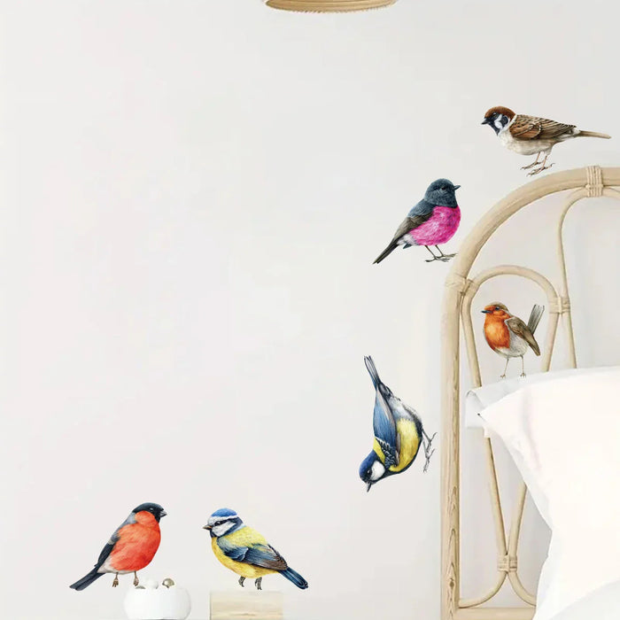 Colourful Bird Wall Decals For Kids Room Decor