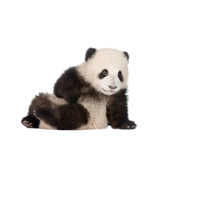 Realistic Watercolour Panda Wall Stickers For Kids Room Decor