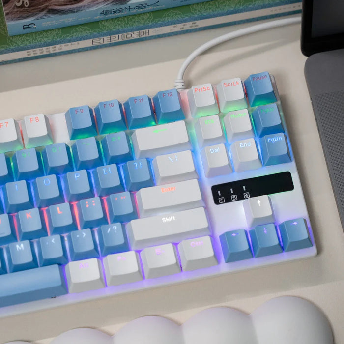 Colourful Wired Mechanical Keyboard 10 Lighting Options Windows Compatible