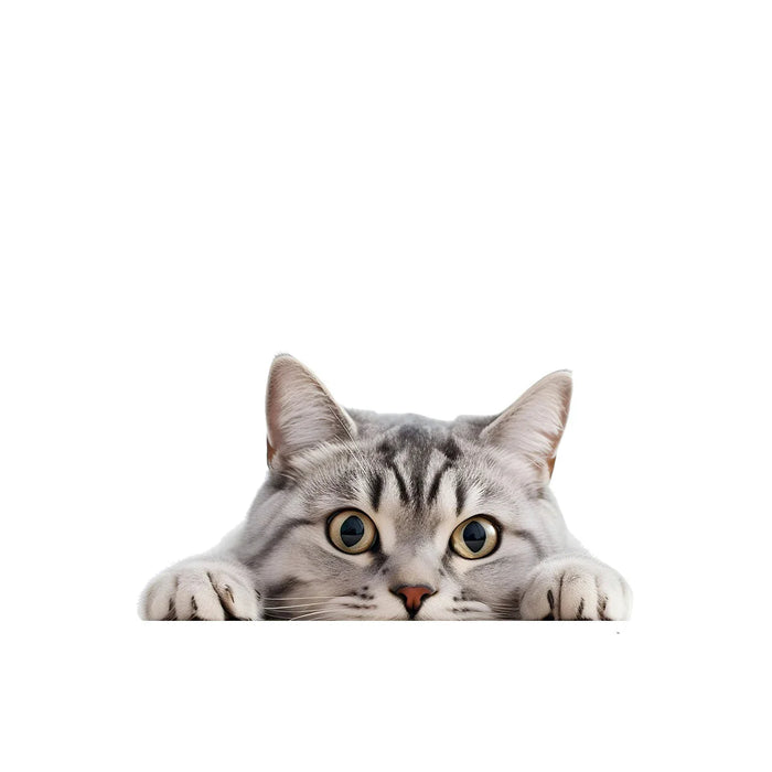 Watercolour Peeping Cat Wall Stickers For Kids Room Decor