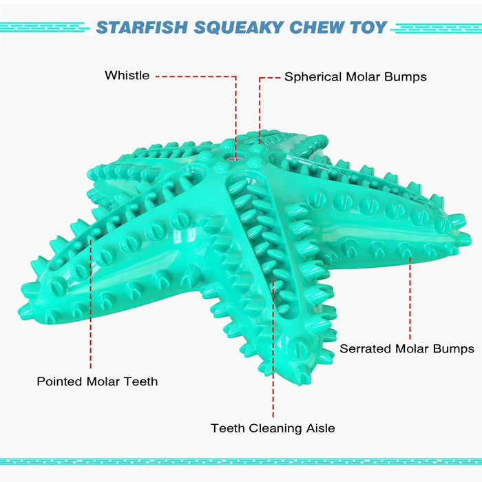 Floating Starfish Dog Chew Toy For Small To Medium Dogs