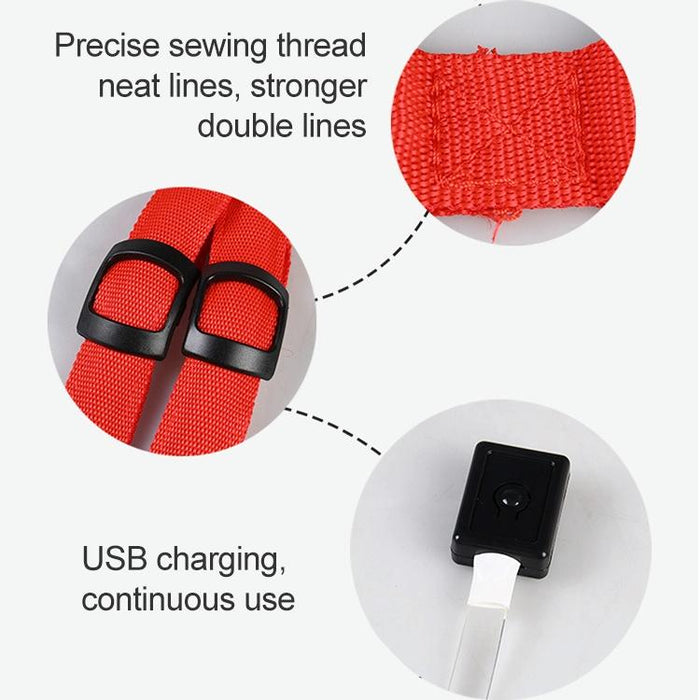 Led Light Double Sided Pet Harness For Cats And Dogs Size S