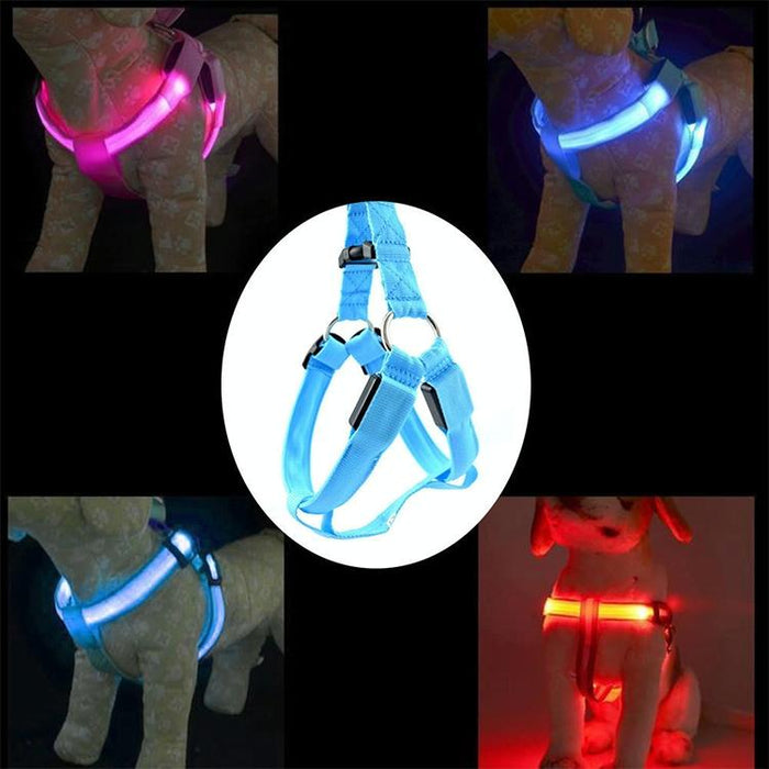 Led Light Double Sided Pet Harness For Cats And Dogs Size M