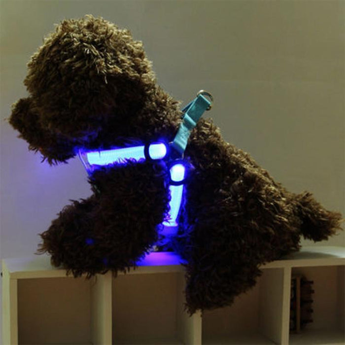 Led Light Double Sided Pet Harness For Cats And Dogs Size M