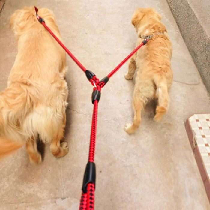 Anti Winding Double Dog Leash 1.4M