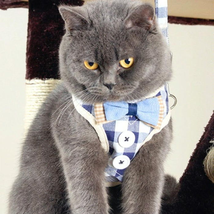 Small Dog Chest Harness With Anti Break Traction Rope Size S