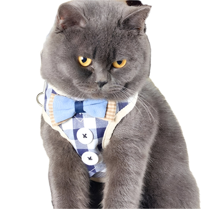 Small Dog Chest Harness With Anti Break Traction Rope Size S