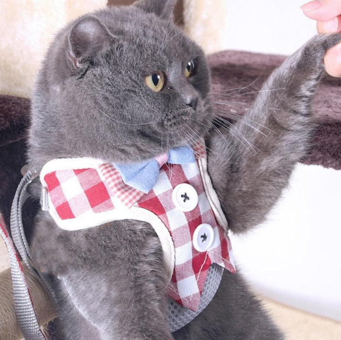 Small Dog Chest Harness With Anti Break Traction Rope Size S